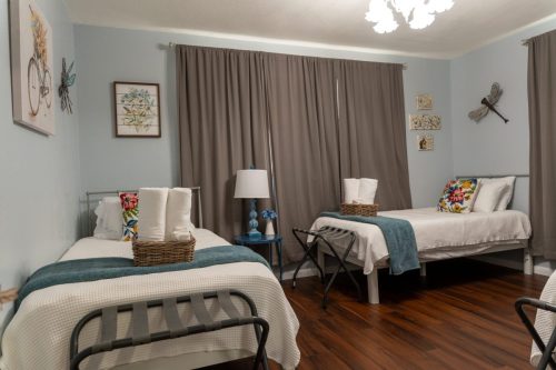 Dragonfly Room