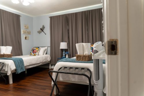 Dragonfly Room
