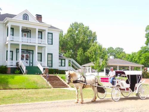 Schluter House and Carriage