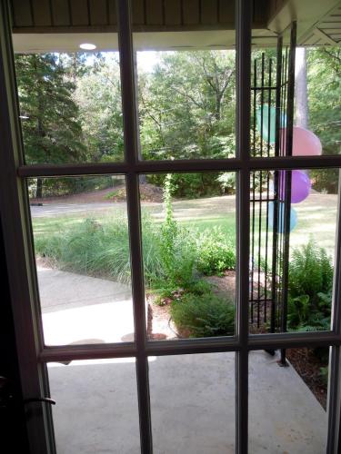 Garden View Through Front Door