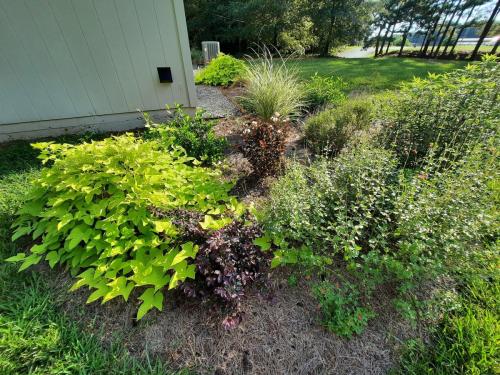 Garden at Back Corner of Retreat